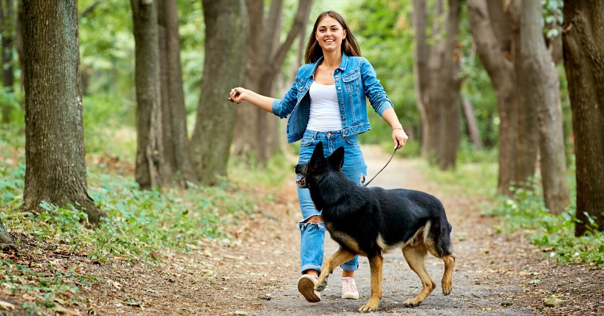 essential oils for animals